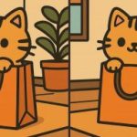 Τεστ IQ: βρείτε 3 διαφορές σε μια εικόνα μιας χαριτωμένης γάτας σε 45 δευτερόλεπτα Τεστ IQ: βρείτε 3 διαφορές σε μια εικόνα μιας χαριτωμένης