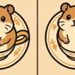 Τεστ IQ: βρείτε 3 διαφορές σε μια εικόνα ενός χάμστερ