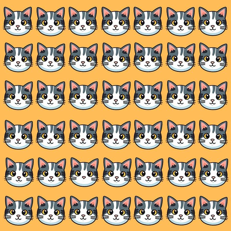 Αυτή η οπτική ψευδαίσθηση είναι δυνατή μόνο για ανθρώπους με μεγαλειώδες IQ / εικόνα Moje