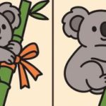 Super IQ test: βρείτε 3 διαφορές σε μια εικόνα ενός κοάλα σε 33 δευτερόλεπτα Super IQ test: βρείτε 3 διαφορές σε μια εικόνα ενός